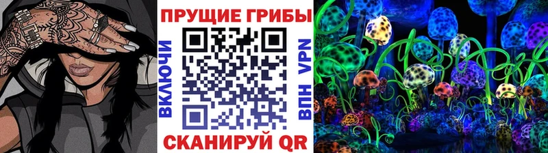 Псилоцибиновые грибы Magic Shrooms  ОМГ ОМГ ССЫЛКА  Усть-Лабинск 
